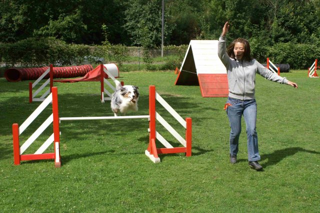agility 2011-07-24